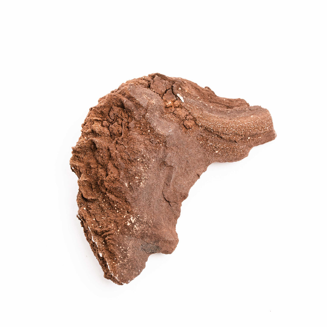 German Fairy Wood - Rough