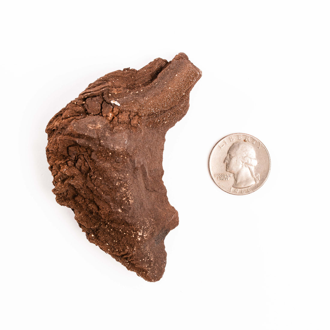 German Fairy Wood - Rough