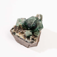 Fluorite, Green/Blue - Day Fluorescent