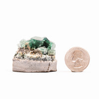 Fluorite, Green/Blue - Day Fluorescent