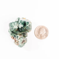 Fluorite, Green/Blue - Day Fluorescent