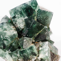 Fluorite, Green/Blue - Day Fluorescent
