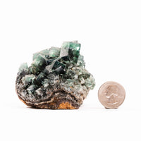 Fluorite, Green/Blue - Day Fluorescent