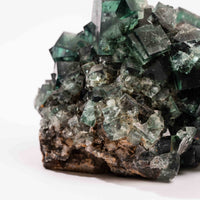 Fluorite, Green/Blue - Day Fluorescent