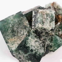 Fluorite, Green/Blue - Day Fluorescent