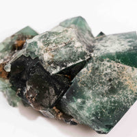 Fluorite, Green/Blue - Day Fluorescent