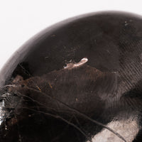 Hypersthene - Palm