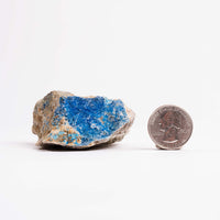 Kinoite
