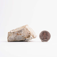 Kinoite