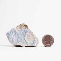 Kinoite