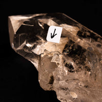 Quartz, Manifestor- Point