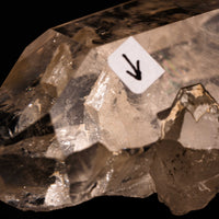 Quartz, Manifestor- Point