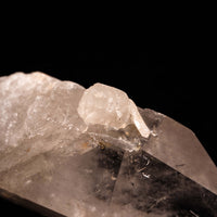 Quartz, Manifestor- Point