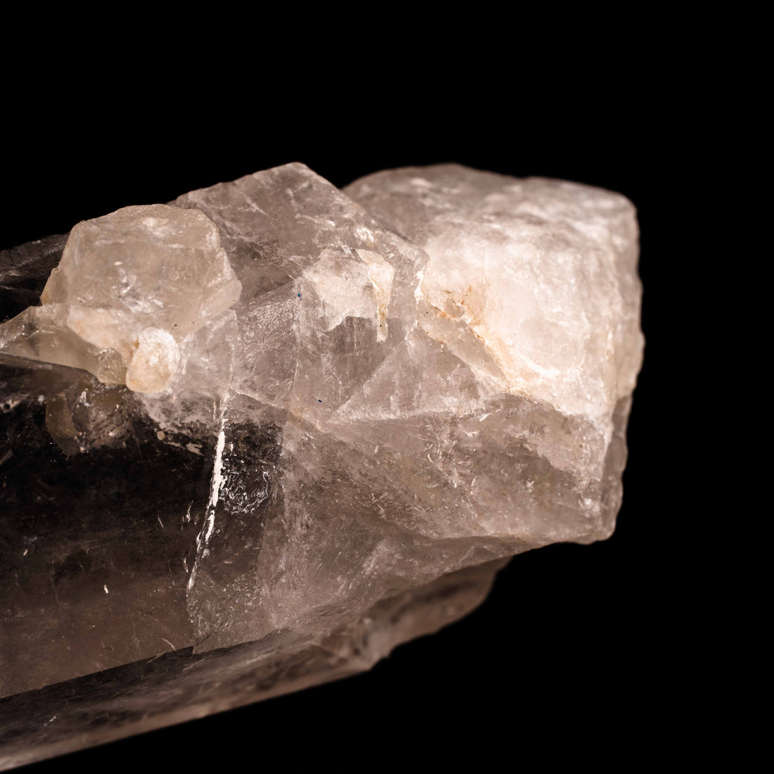 Quartz, Manifestor- Point