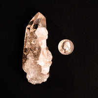 Quartz, Manifestor - Point
