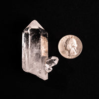 Quartz, Manifestor- Point