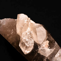Quartz, Manifestor - Point