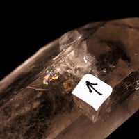 Quartz, Manifestor- Point