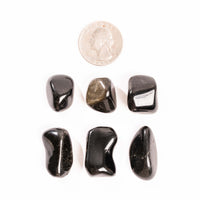 Obsidian - Gold Sheen, Tumbled