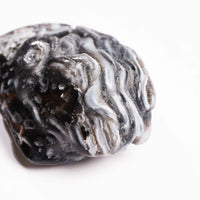 Agate, Enhydro