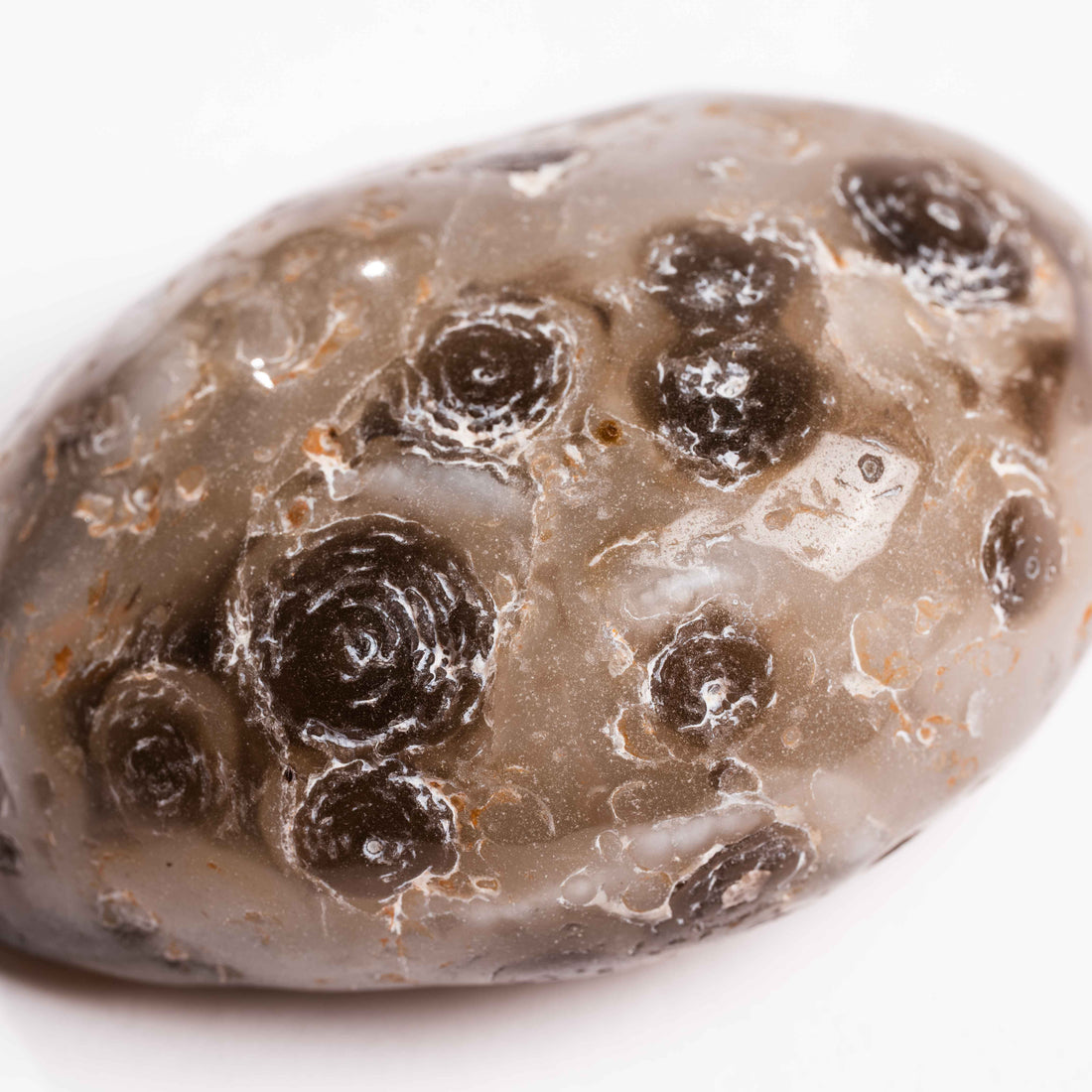 Agate, Enhydro
