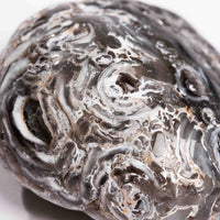 Agate, Enhydro