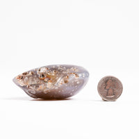 Agate, Enhydro