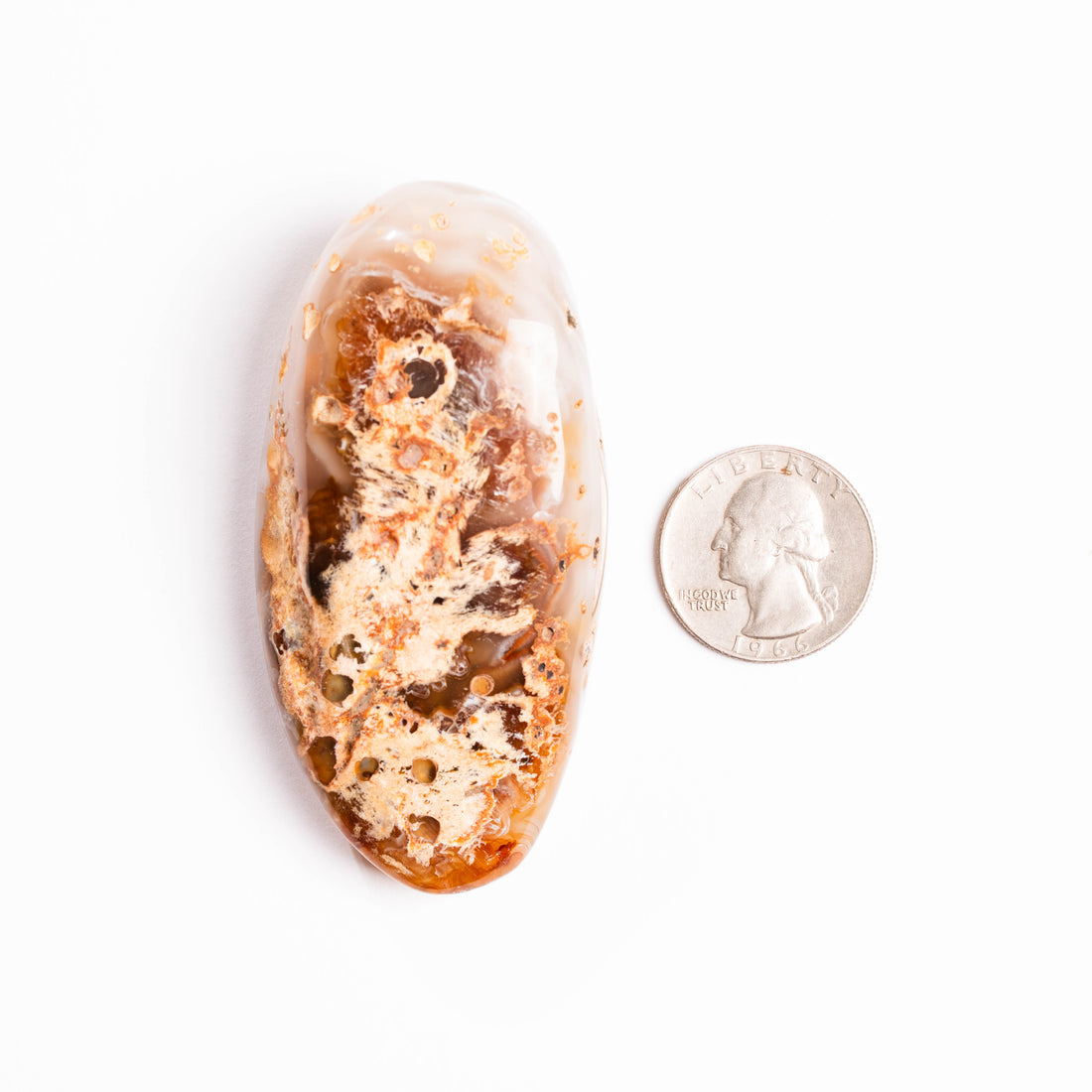 Agate, Enhydro