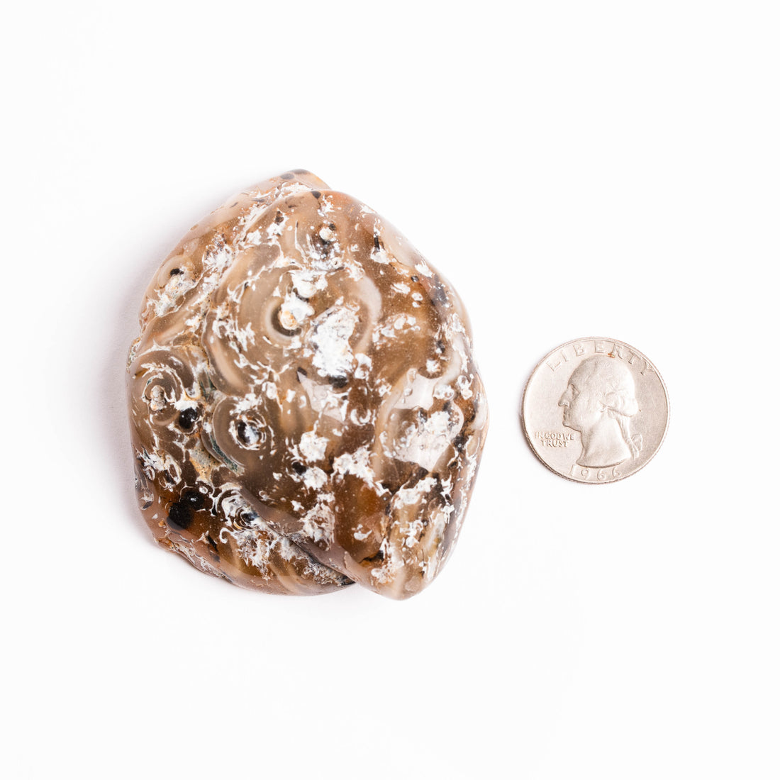 Agate, Enhydro