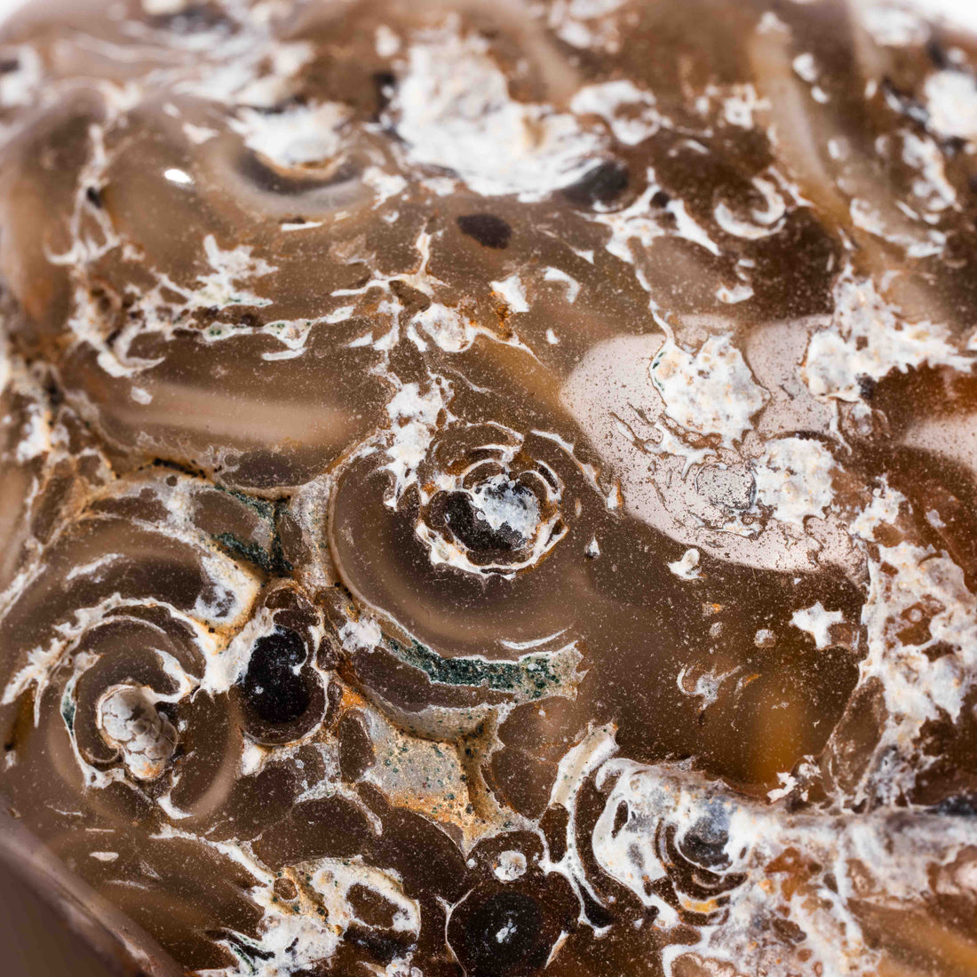 Agate, Enhydro