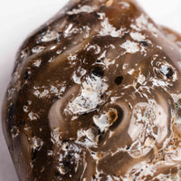 Agate, Enhydro