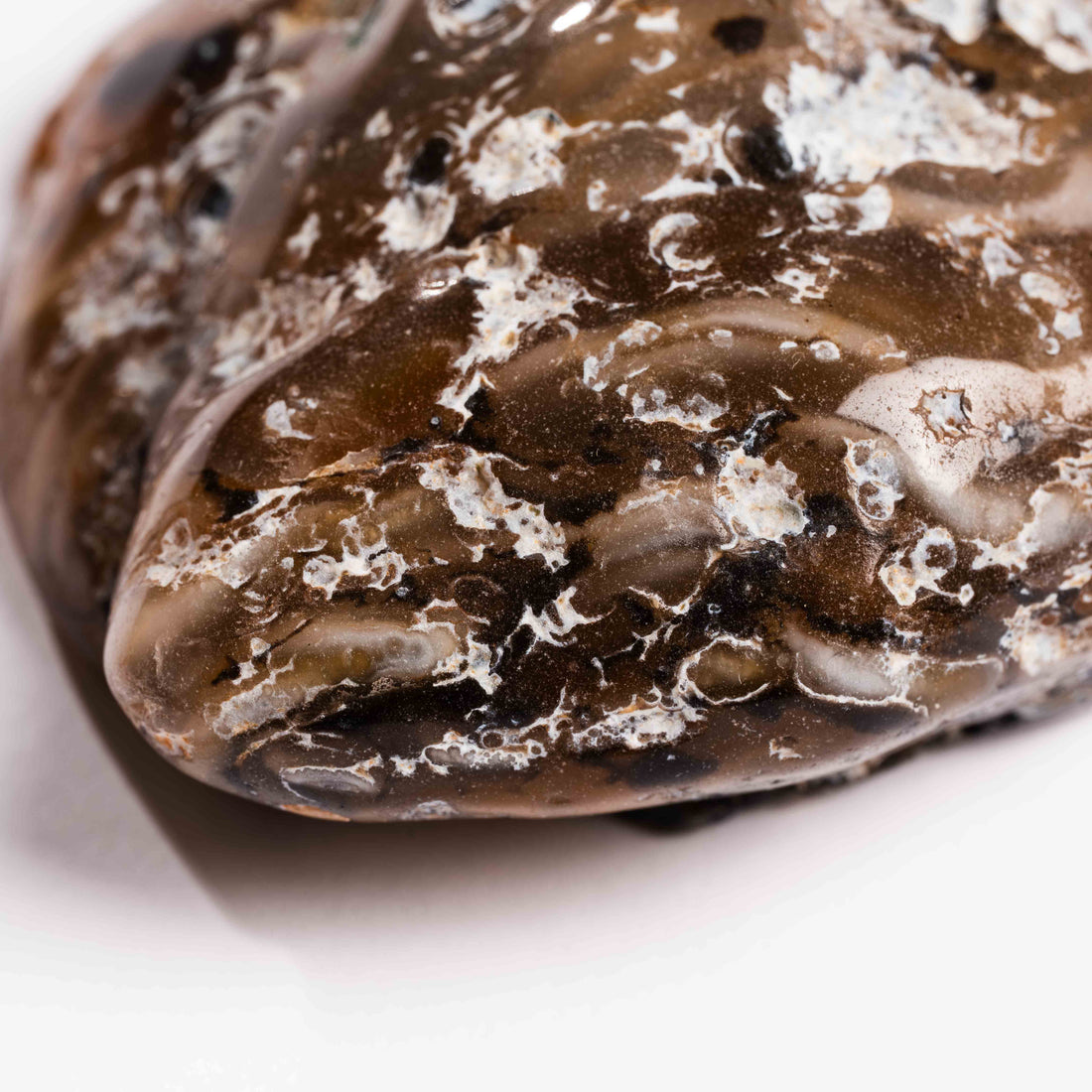 Agate, Enhydro
