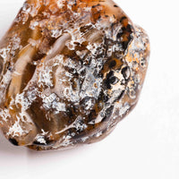 Agate, Enhydro