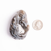 Agate, Enhydro