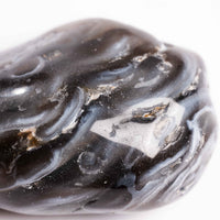Agate, Enhydro