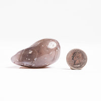 Agate, Enhydro