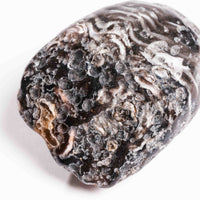 Agate, Enhydro