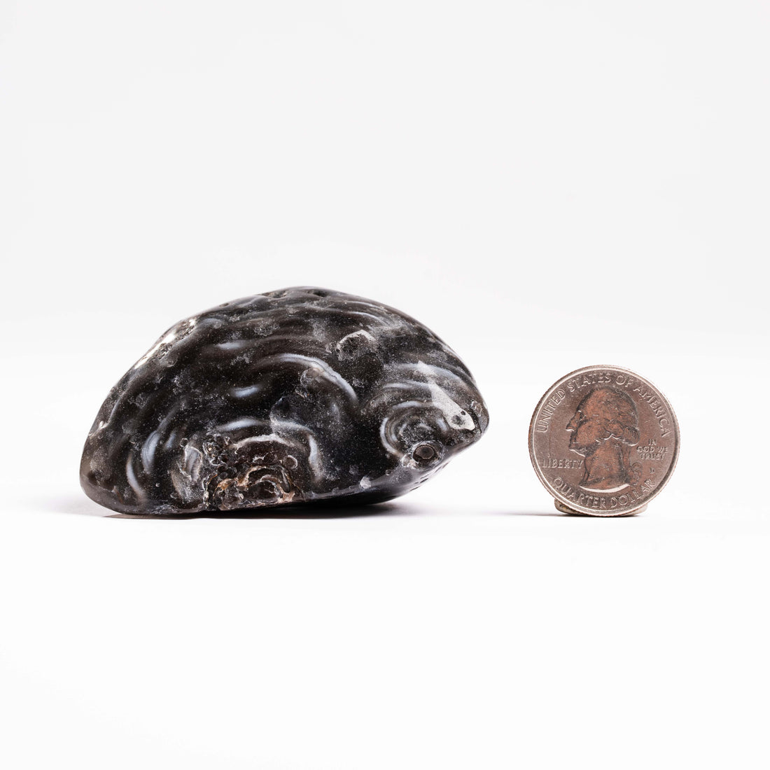 Agate, Enhydro