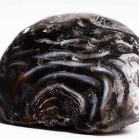 Agate, Enhydro
