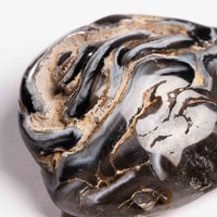 Agate, Enhydro