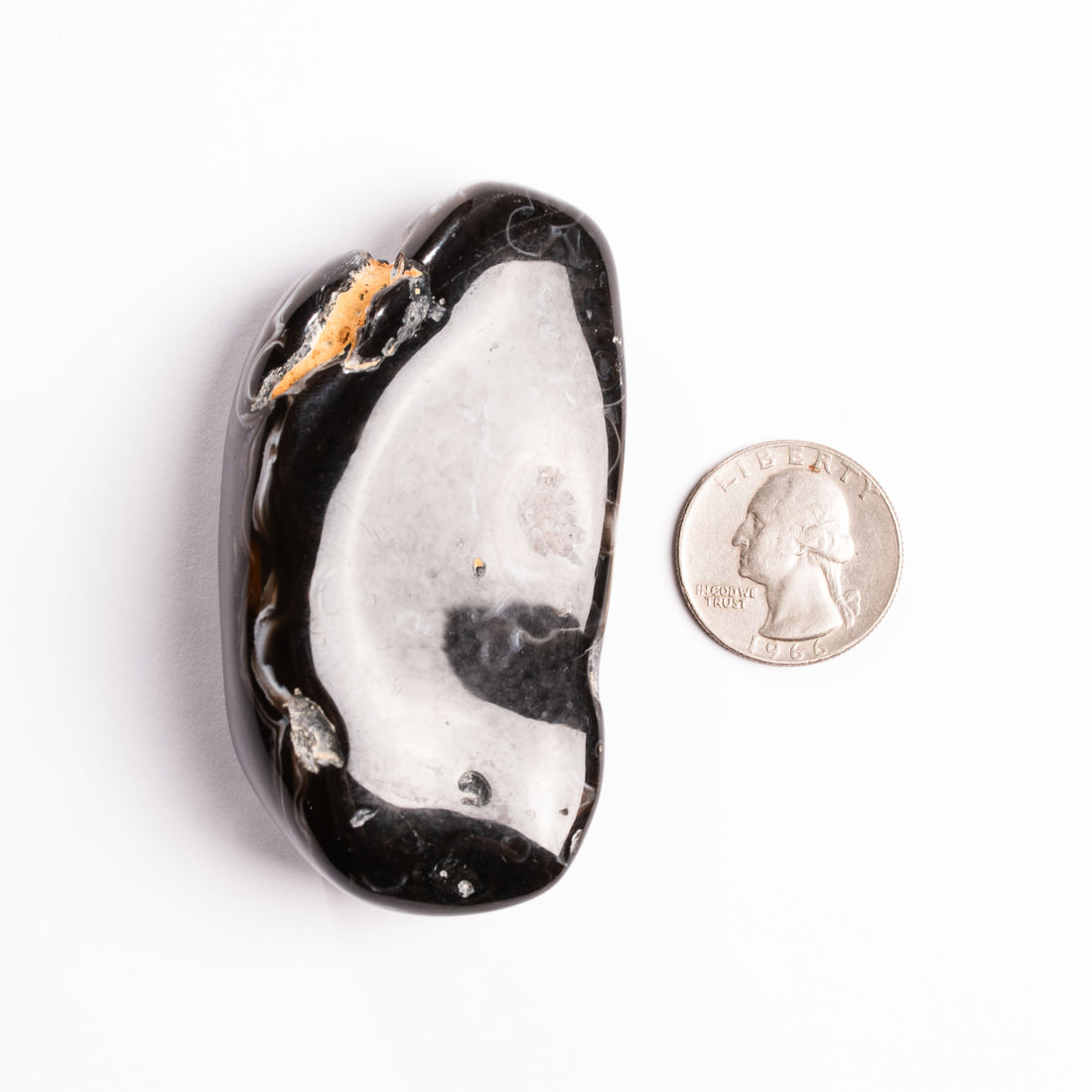 Agate, Enhydro