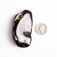 Agate, Enhydro