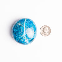 Apatite, Blue - Palm