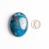 Apatite, Blue - Palm