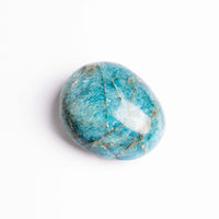 Apatite, Blue - Palm