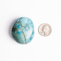 Apatite, Blue - Palm