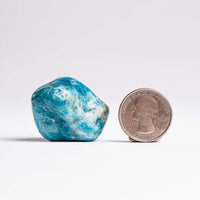 Apatite, Blue - Small Freeform