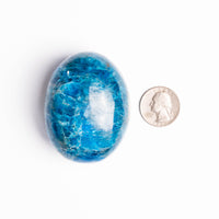 Apatite, Blue - Palm