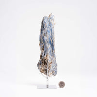Kyanite, Blue- On Stand