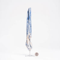 Kyanite, Blue- On Stand